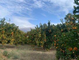 Casa de campo en Lecrin