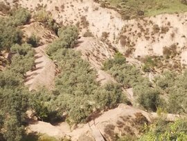 Casa de campo en El Valle