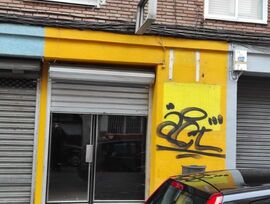 Unidad comercial en Leon