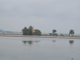 Casa de campo en Amposta