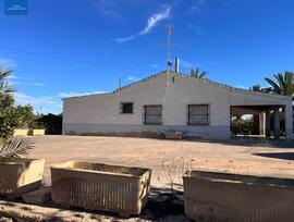 Campo en Elche pedanias