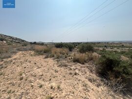 Campo en Elche pedanias