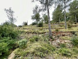Parcela urbana en La Bisbal del Penedes
