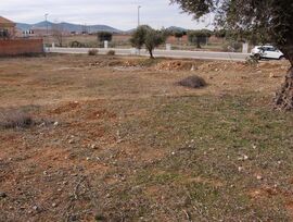 Campo en Nambroca