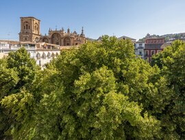 Edificio en Granada