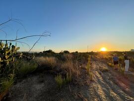 Campo en Murcia