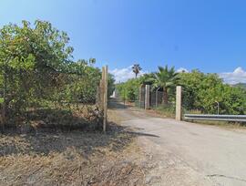 Campo en Guaro