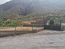 Campo en Guimar