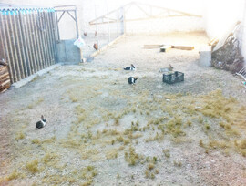 Parcela urbana edificable en Tomelloso