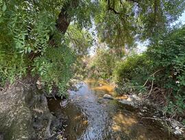 Cortijo en Cazalla de la Sierra