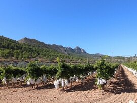 Parcela en La Romana