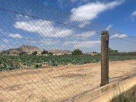 Parcela en Aspe