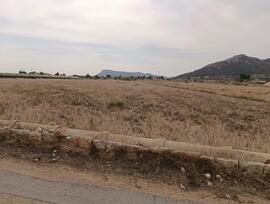 Campo en La Romana