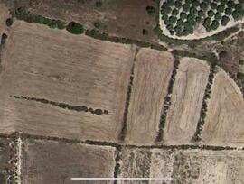 Campo en Elche pedanias