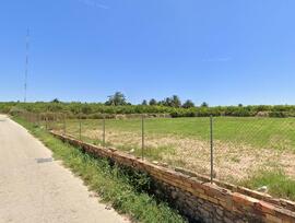 Campo en Guardamar del Segura