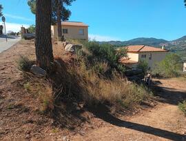 Parcela urbana en Bigues i Riells