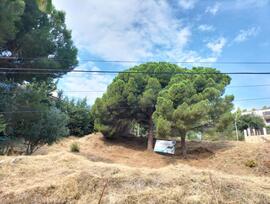 Parcela urbana edificable en Pineda de Mar