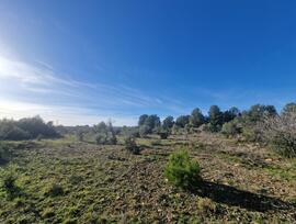 Campo en El Pont d'Armentera