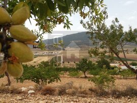 Parcela en Hondon de las Nieves