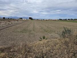 Campo en Dolores