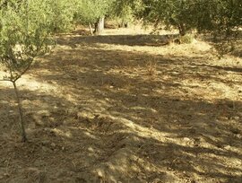 Casa de campo en Almeria