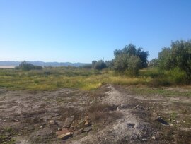 Parcela en Lorca