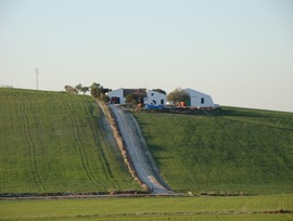 Casa de campo en Jerez de la Frontera
