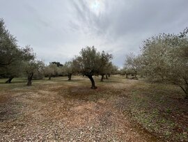 Casa de campo en Roquetes
