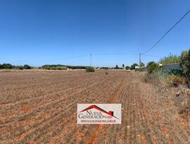 Campo en Conil de la Frontera