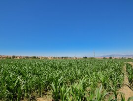 Casa de campo en Cullar Vega