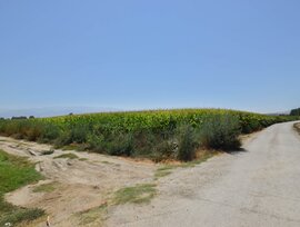 Casa de campo en Belicena