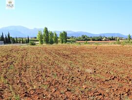 Campo en Llubí