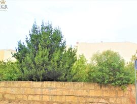 Parcela urbana edificable en Inca