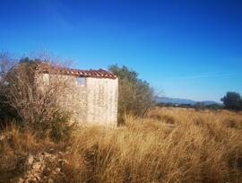 Campo en Traiguera