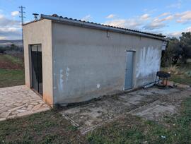 Campo en Ulldecona