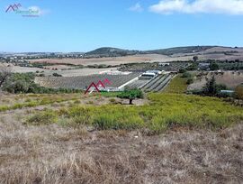 Parcela en Arcos de la Frontera