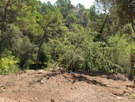 Parcela en Castellnou de Bages