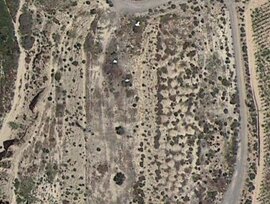 Campo en Elche pedanias