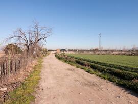 Campo en Granada