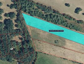 Campo en Madrigal de la Vera