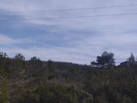 Parcela en La Bisbal del Penedes
