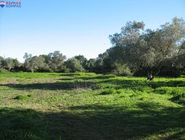 Campo en Chiclana de la Frontera
