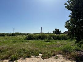 Campo en Bollullos de la Mitacion