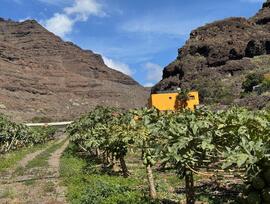Casa de campo en La Aldea de San Nicolás