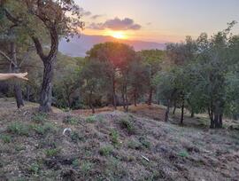 Parcela urbana en Argentona