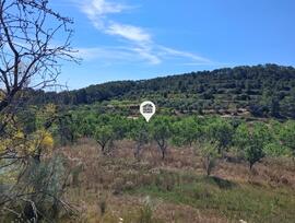 Campo en El Pinell de Brai