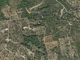 Campo en Vandellos i l'Hospitalet de l'Infant