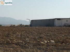 Campo en Los Gallardos