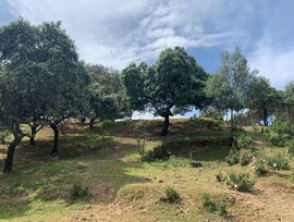 Parcela urbana en Córdoba