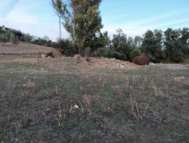 Campo en Coín